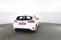 Ford Focus 1.5 EcoBlue 120 CV 5p. ST Line Bianco - thumbnail 4