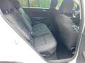 Kia Sportage 1.7 CRDI 2WD Business Class Bianco - thumbnail 14