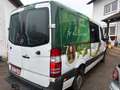 Mercedes-Benz Sprinter 310/311/313/314/316 CDI (906.631/633/635/637) Weiß - thumbnail 11