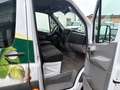 Mercedes-Benz Sprinter 310/311/313/314/316 CDI (906.631/633/635/637) Weiß - thumbnail 8