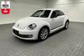 Volkswagen Beetle Club Navi/SHZ/17-Zoll/Tempomat/PDC Blanc - thumbnail 1