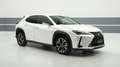 Lexus UX 250h UX Hybrid Executive Weiß - thumbnail 2