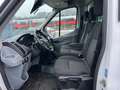 Ford Transit 350 L3 Koffer mit Bühne *Tempomat*NAVI*EURO6 Weiß - thumbnail 16