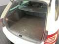 Skoda Octavia Combi 1.5 TSI Ambition / Navi LED ACC Blanco - thumbnail 12