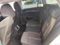Skoda Octavia Combi 2.0TDI Scout 147kW DSG 4x4 Blanco - thumbnail 11