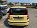 Fiat Panda Panda 1.2 Dynamic 69cv E5 Giallo - thumbnail 10