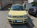 Fiat Panda Panda 1.2 Dynamic 69cv E5 Giallo - thumbnail 2