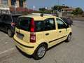 Fiat Panda Panda 1.2 Dynamic 69cv E5 Giallo - thumbnail 9