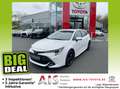 Toyota Corolla Touring Sports 1.2T Team D Technik-Paket Bianco - thumbnail 1