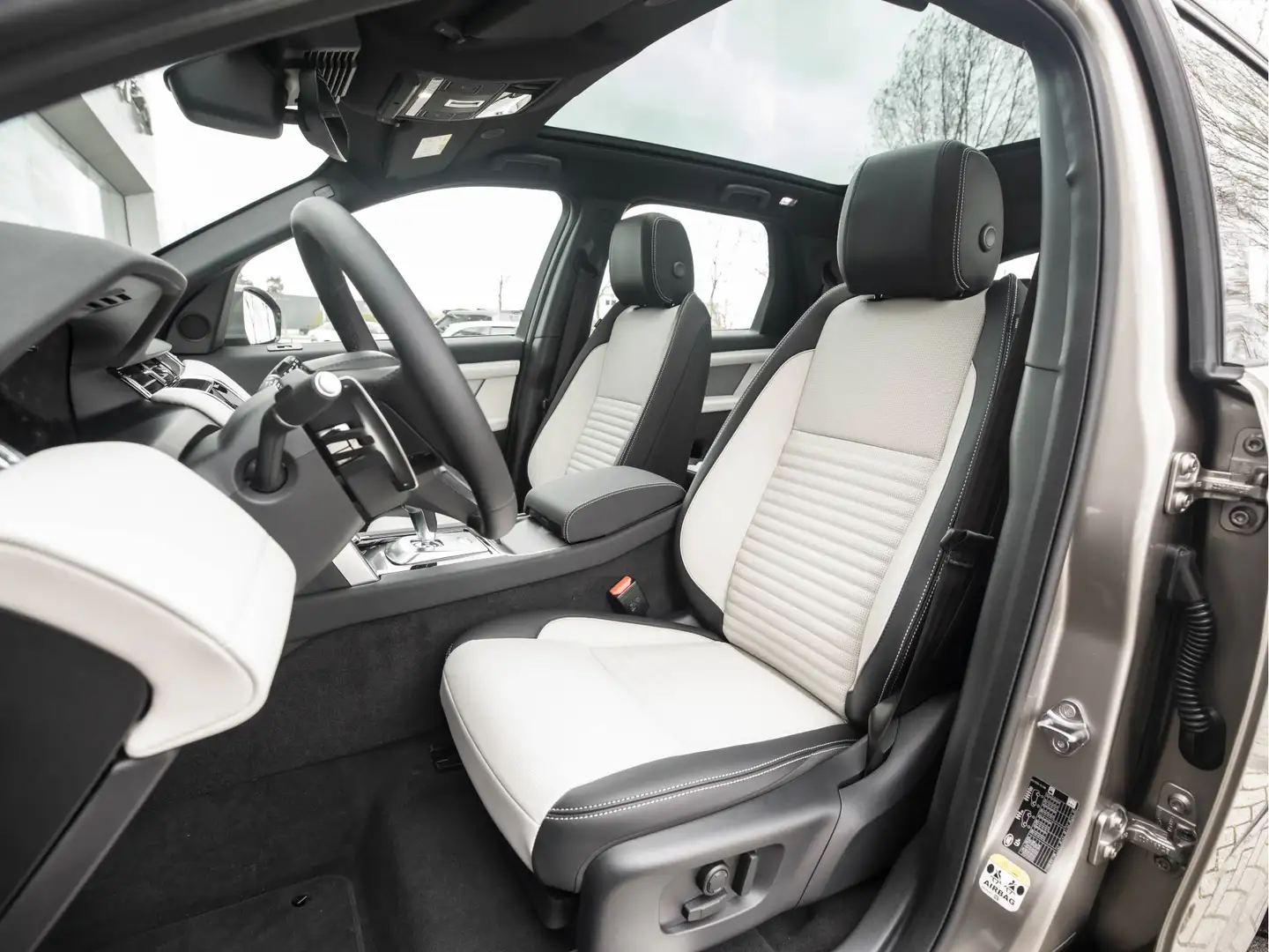 Land Rover Discovery Sport P300e R-Dynamic S | Light Oyster | Adaptive Cruise Bruin - 2