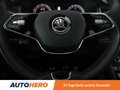 Skoda Kodiaq 1.5 TSI ACT Style SC Grau - thumbnail 19