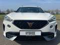 CUPRA Formentor 1.4 TSI e-Hybrid Essential 18 inch velgen, Sport i Wit - thumbnail 19
