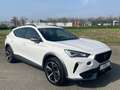CUPRA Formentor 1.4 TSI e-Hybrid Essential 18 inch velgen, Sport i Wit - thumbnail 21