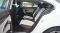Volkswagen CC Basis BMT PANO NAVI SHZ KAMERA BI-XENON 184PS Білий - thumbnail 23