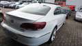 Volkswagen CC Basis BMT PANO NAVI SHZ KAMERA BI-XENON 184PS Білий - thumbnail 9