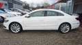 Volkswagen CC Basis BMT PANO NAVI SHZ KAMERA BI-XENON 184PS Білий - thumbnail 10