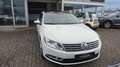 Volkswagen CC Basis BMT PANO NAVI SHZ KAMERA BI-XENON 184PS Білий - thumbnail 6