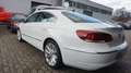 Volkswagen CC Basis BMT PANO NAVI SHZ KAMERA BI-XENON 184PS Білий - thumbnail 8