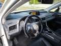 Lexus RX 450h RX 450h L Executive Tecno Executive Tecno Blanco - thumbnail 4