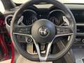 Alfa Romeo Stelvio Stelvio 2.2 Turbodiesel 210 CV AT8 Q4 Executive Rosso - thumbnail 16