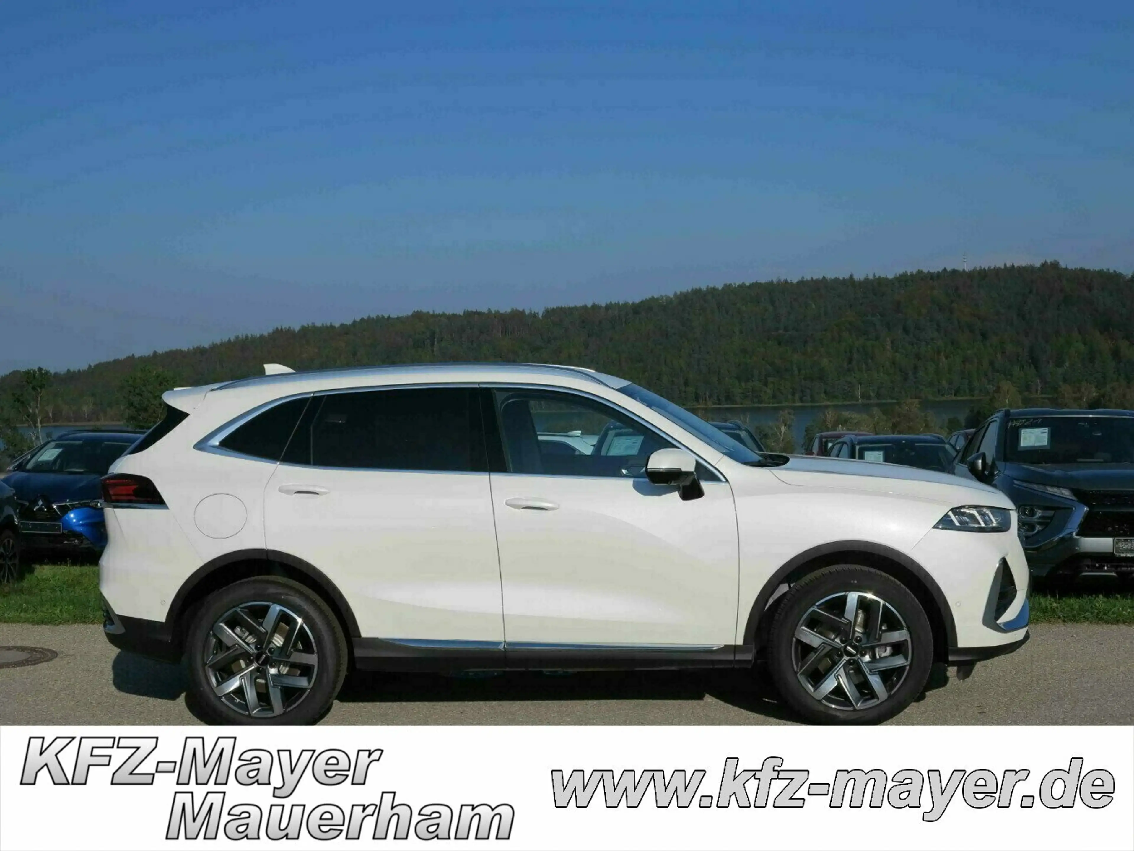 GWM WEY 03 Luxury + Pano. + Sitzpaket + Winterpaket