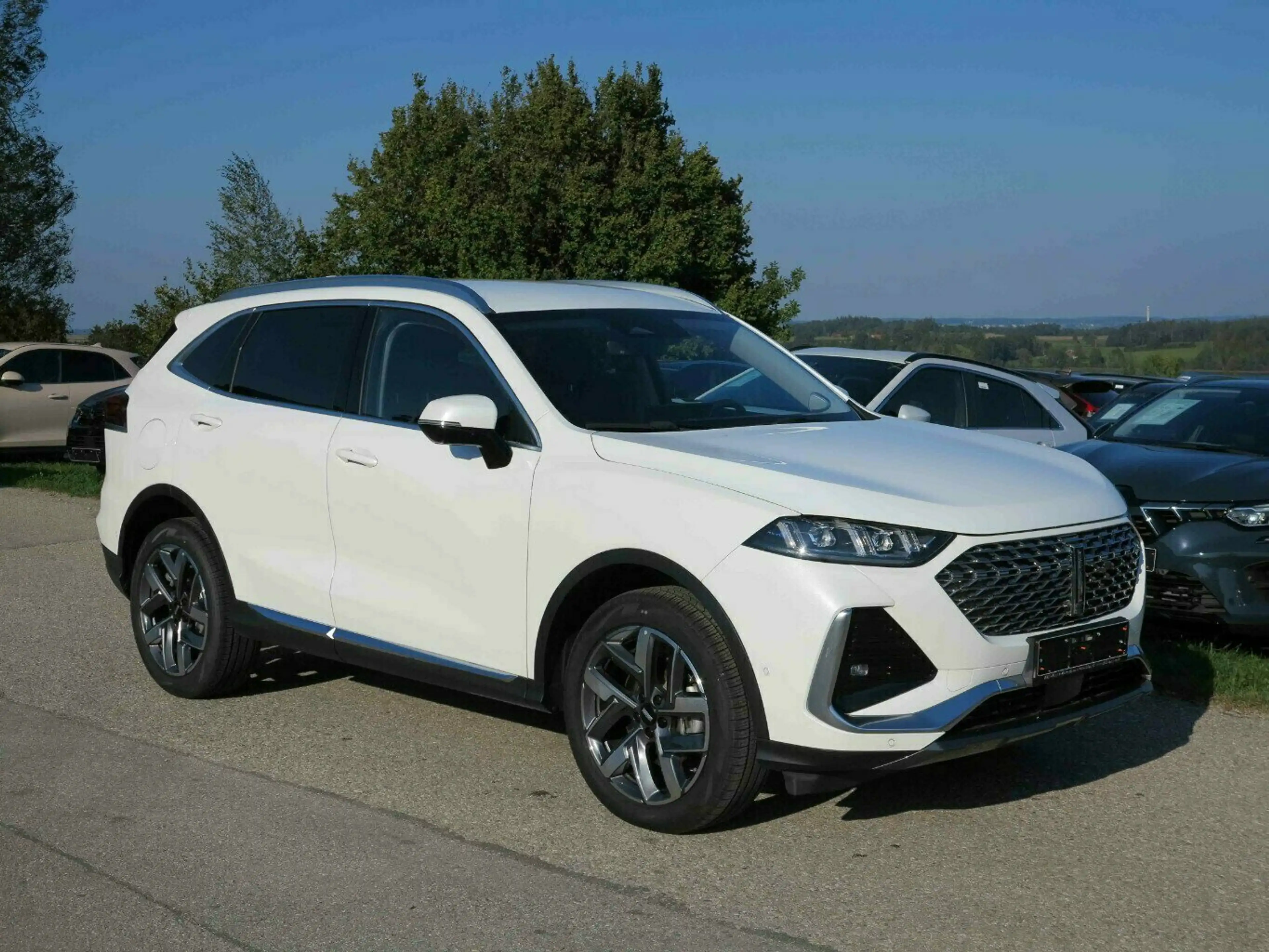 GWM WEY 03 Luxury + Pano. + Sitzpaket + Winterpaket — photo 2