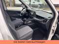 Fiat Doblo Doblò  Maxi Kombi-KLIMA-TÜV  NEU-EURO6 Weiß - thumbnail 11