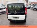 Fiat Doblo Doblò  Maxi Kombi-KLIMA-TÜV  NEU-EURO6 Weiß - thumbnail 6