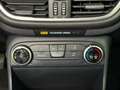 Ford Fiesta Trend*CARPLAY*ALLWETTERREIFEN*TÜV NEU Rouge - thumbnail 16