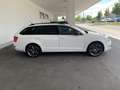 Skoda Octavia Combi 1,6 Ambition TDI - thumbnail 5