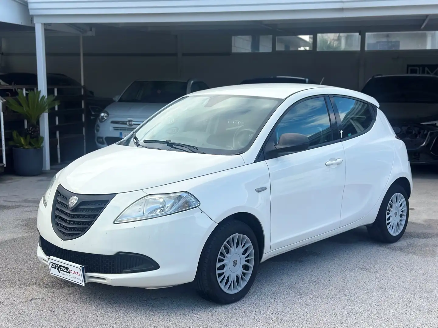 Lancia Ypsilon Ypsilon 1.3 MJT 16V 95 CV 5 porte S&S Gold Bianco - 2
