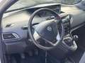 Lancia Ypsilon Ypsilon 1.3 MJT 16V 95 CV 5 porte S&S Gold Bianco - thumbnail 14