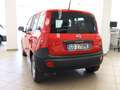 Fiat Panda VAN 1.0 HYBRID POP 70 CV Rosso - thumbnail 4