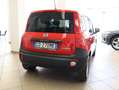 Fiat Panda VAN 1.0 HYBRID POP 70 CV Rosso - thumbnail 3