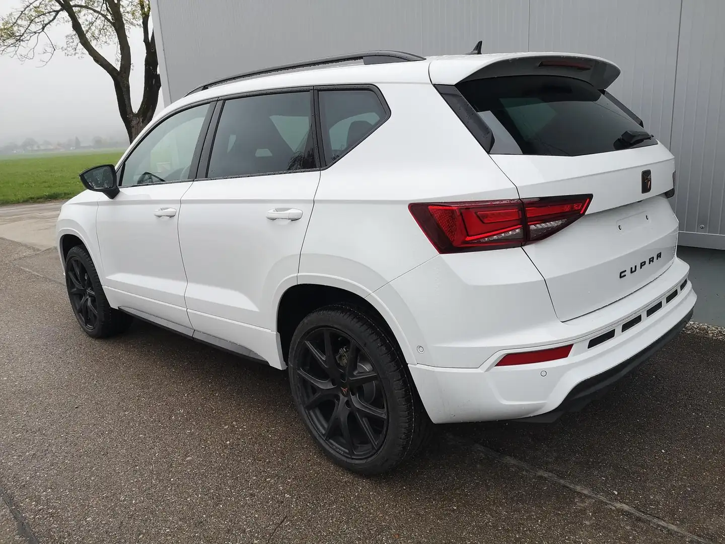 CUPRA Ateca 1.5TSI 19 Zoll Navi ACC GV5 110 kW (150 PS), Au... Weiß - 2