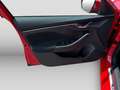 Skoda Kamiq Clever 1.0TSI Climatr SHZ Temp LED Link PD Rot - thumbnail 14