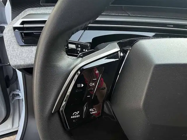 Peugeot 3008 view 14