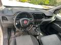 Fiat Doblo 1.6 DIESEL 3 POSTI 2021 Bianco - thumbnail 10