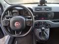Fiat Panda 1.0 HYBRID  CROSS Grigio - thumbnail 7