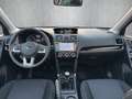 Subaru Forester FORESTER°EXCLUSIVE°1HAND°RENTNER°47TKM°XENON°AHK Gris - thumbnail 20