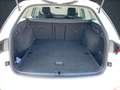 Skoda Octavia Combi Style 2.0 TDI AHK+ACC+HuD+Navi+LED Weiß - thumbnail 14