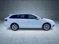 Skoda Octavia Combi Style 2.0 TDI AHK+ACC+HuD+Navi+LED Weiß - thumbnail 7