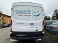 Ford Transit Kasten 330 L3 MOTORSCHADEN Blanc - thumbnail 4