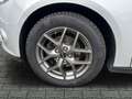 Ford Focus Lim. Ambiente Zahnriemen neu Plateado - thumbnail 9