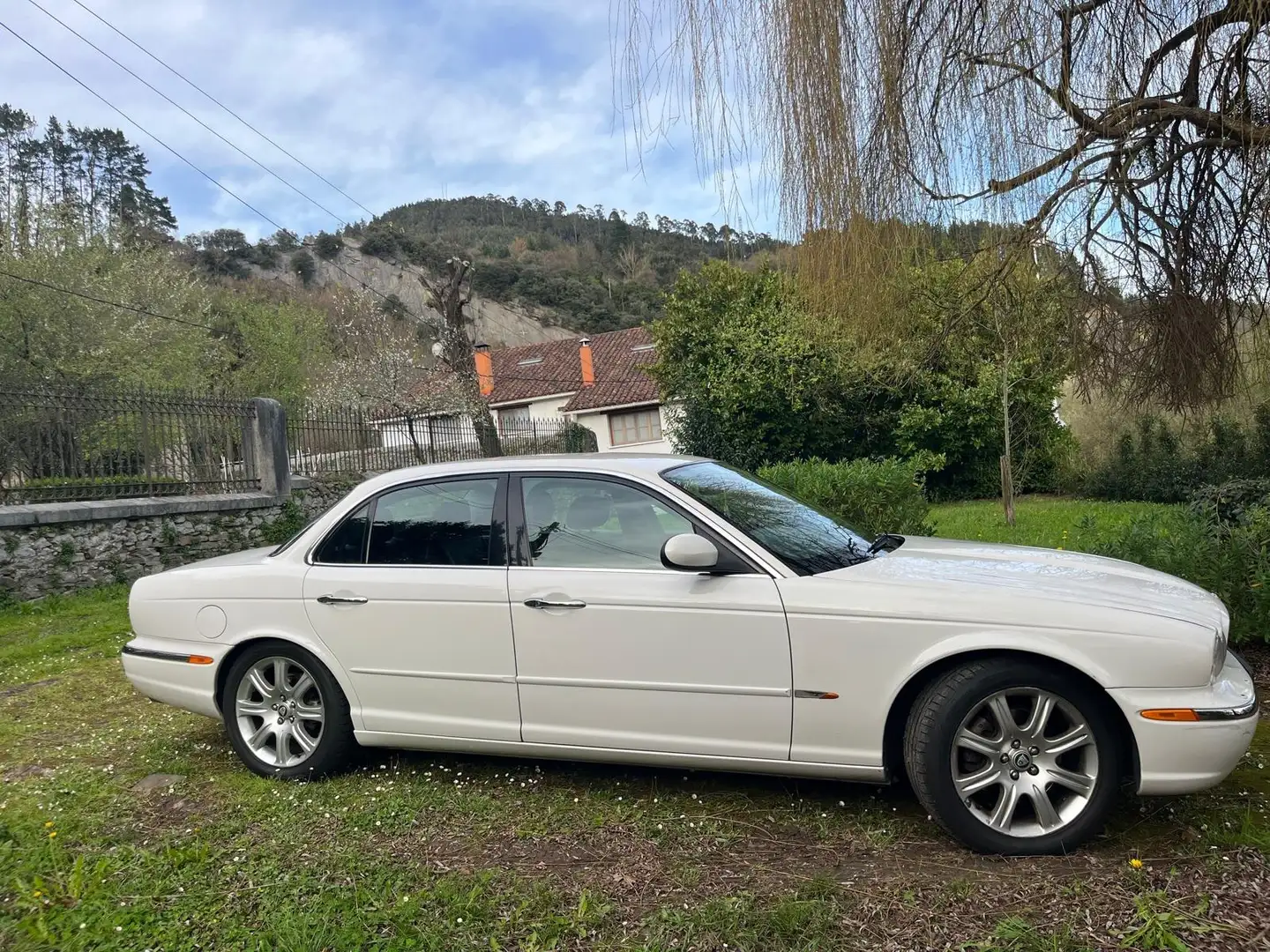 Jaguar XJ6 EXECUTIVE Blanco - 2