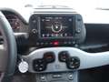 Fiat Panda Cross 1.0 FireFly S&S Hybrid NAVI GARMIN 2wd Grigio - thumbnail 12