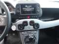 Fiat Panda Cross 1.0 FireFly S&S Hybrid NAVI GARMIN 2wd Grigio - thumbnail 10