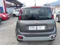 Fiat Panda Cross 1.0 FireFly S&S Hybrid NAVI GARMIN 2wd Grigio - thumbnail 7