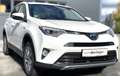 Toyota RAV 4 Hybrid Edition-S+ Weiß - thumbnail 1