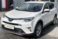 Toyota RAV 4 Hybrid Edition-S+ Weiß - thumbnail 2